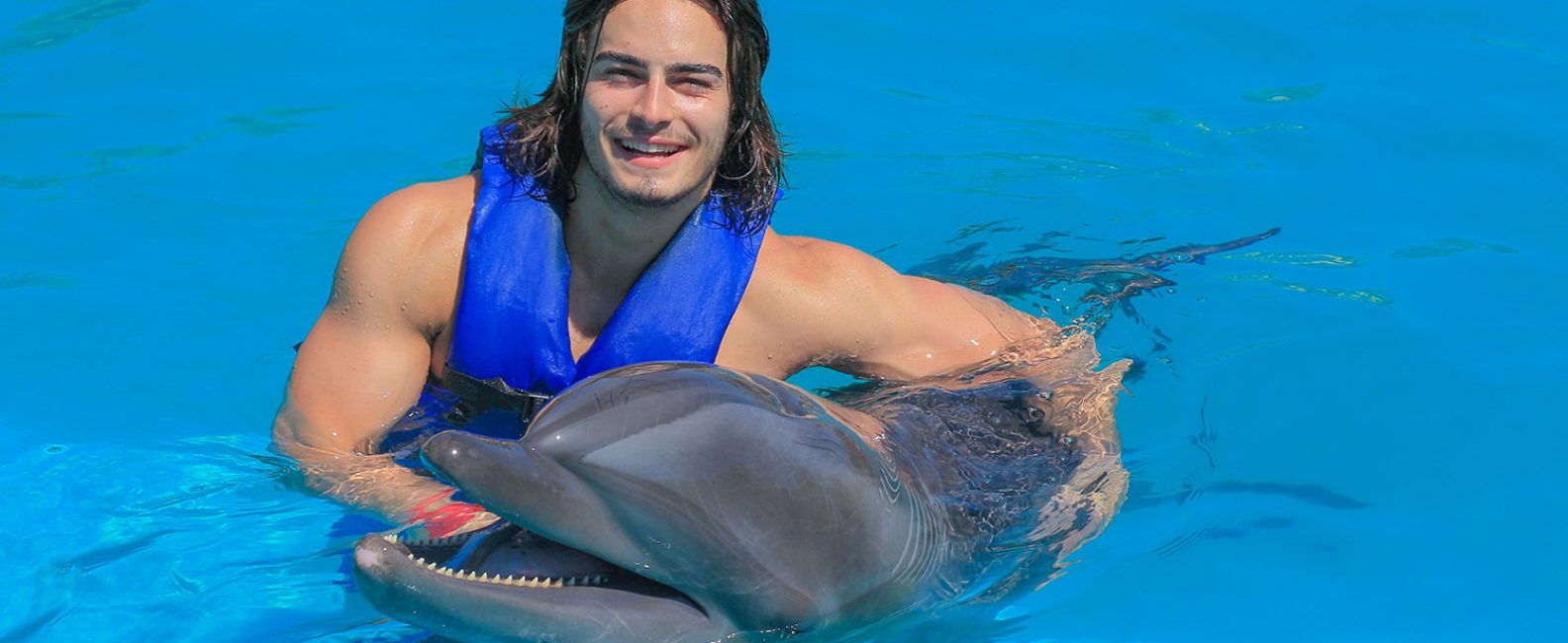 delfin sonriente