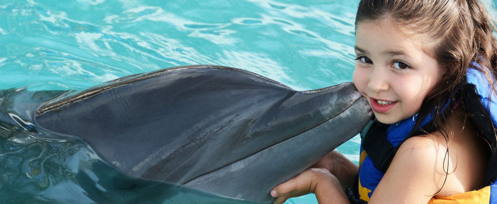 defil dolphin encounter