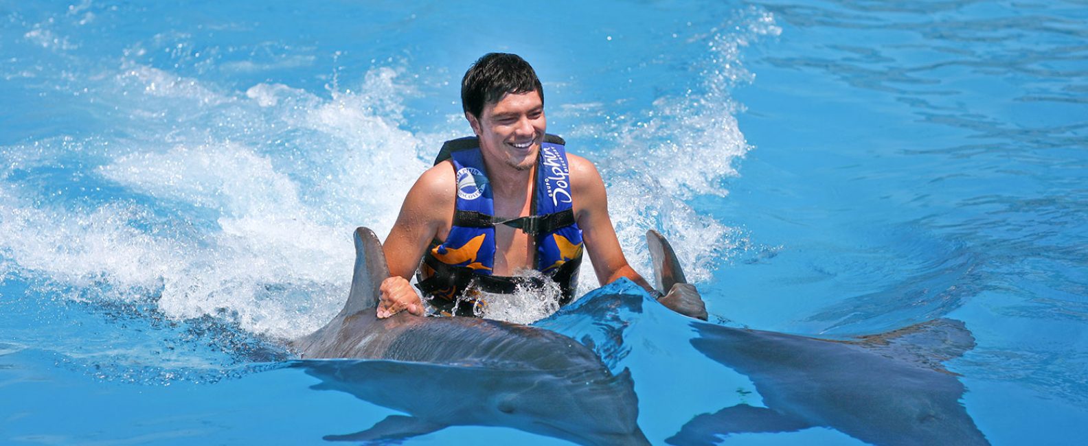 joven nadando con dos delfines